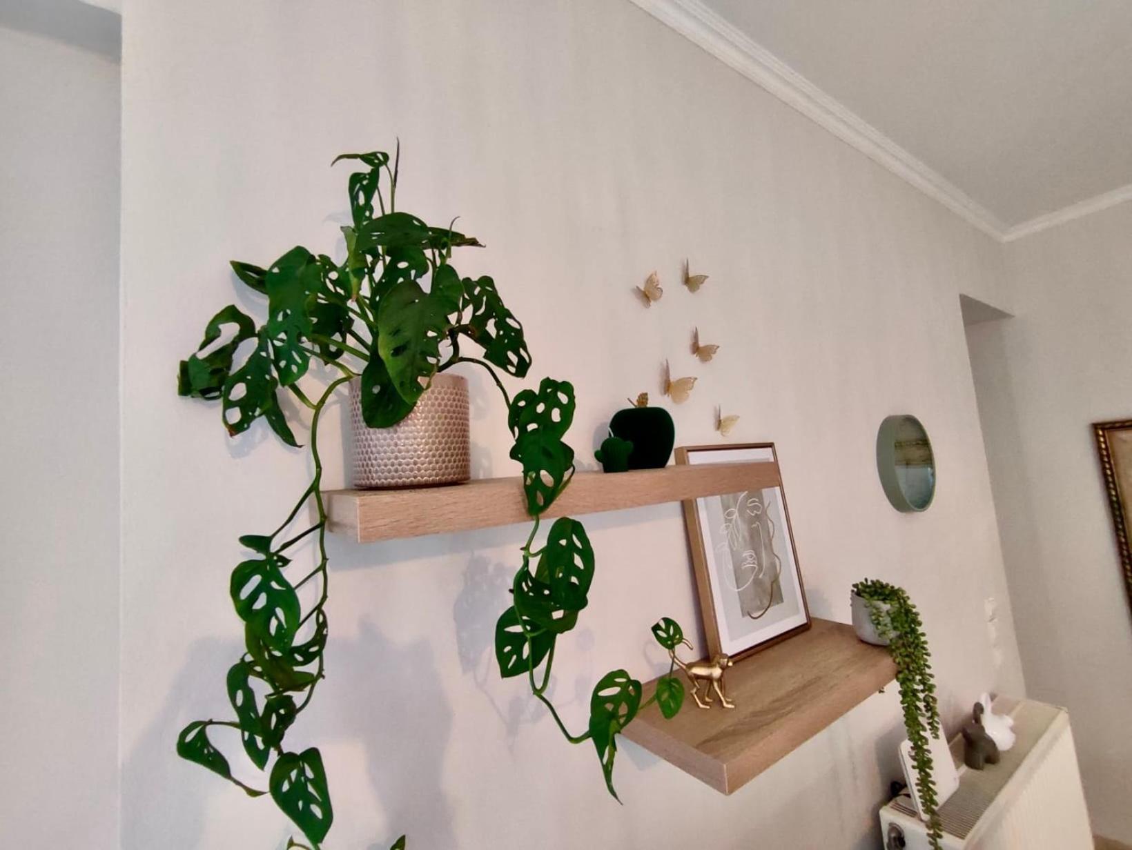 חאניה Tzitzifianaki Cozy Apartment מראה חיצוני תמונה